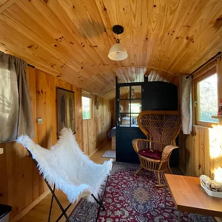 Familial En Pleine Nature- Domaine Temali Labouheyre